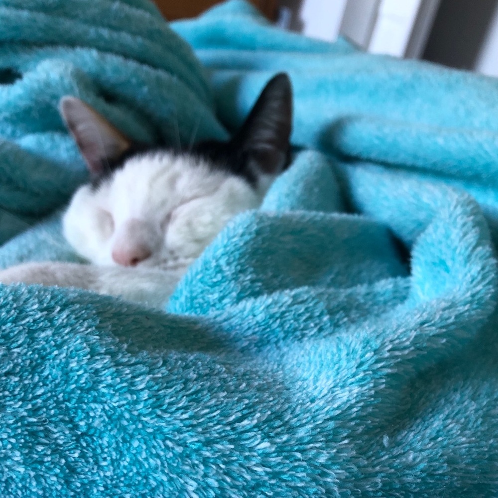 Meet your Posher, Sarah